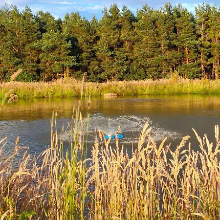 Middlehead * 皮克林