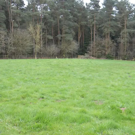 Middlehead 度假居 *