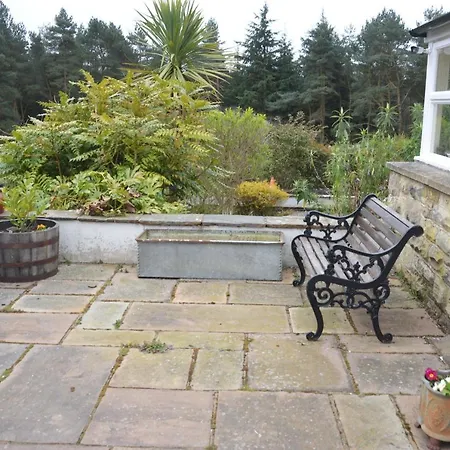 Middlehead * 皮克林