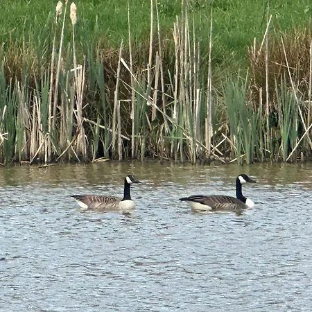 Middlehead Casa de Férias