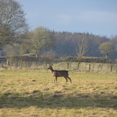 度假居 Middlehead *