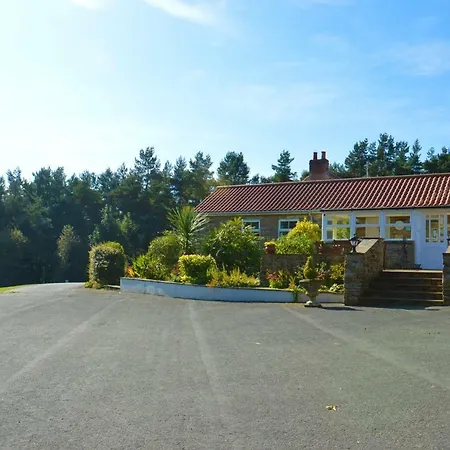 Middlehead *
