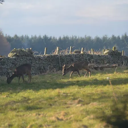 Middlehead 度假居 *