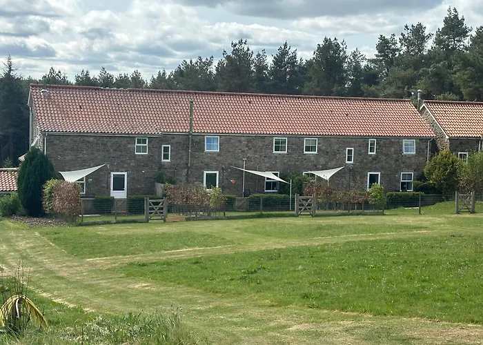 Middlehead * Pickering