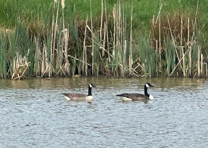 Middlehead Casa de Férias