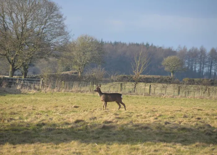 Casa de Férias Middlehead *