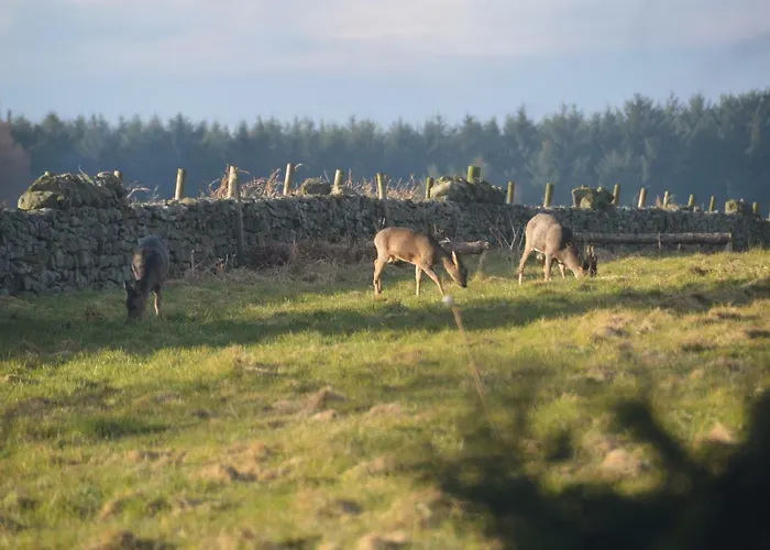 Middlehead Casa de Férias *