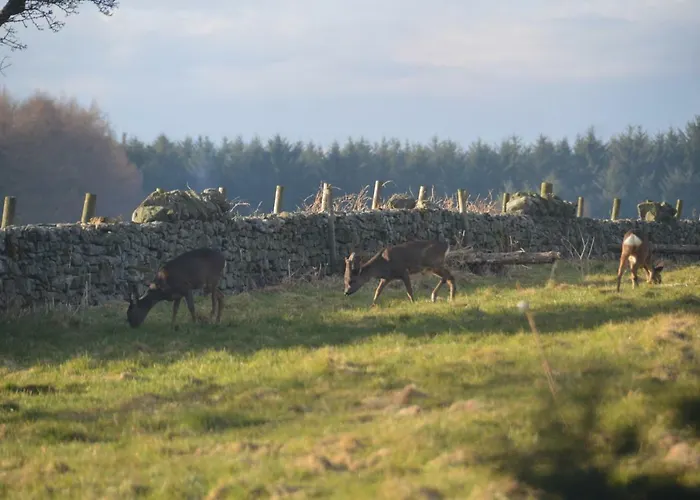 Middlehead Casa de Férias *