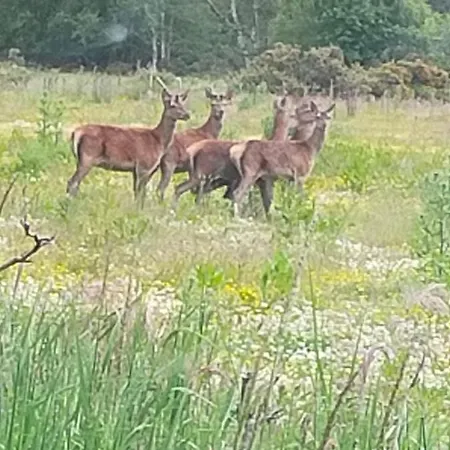 Middlehead Holiday home