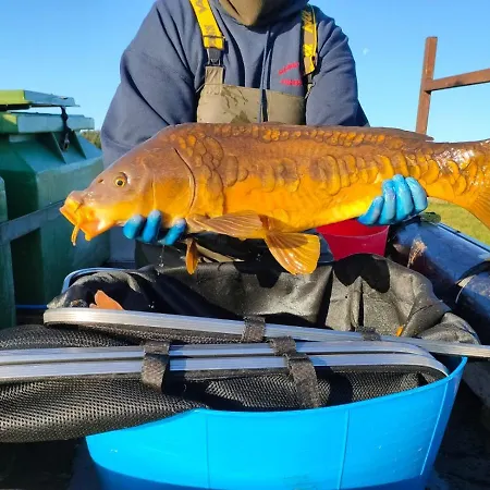 Holiday home Middlehead *