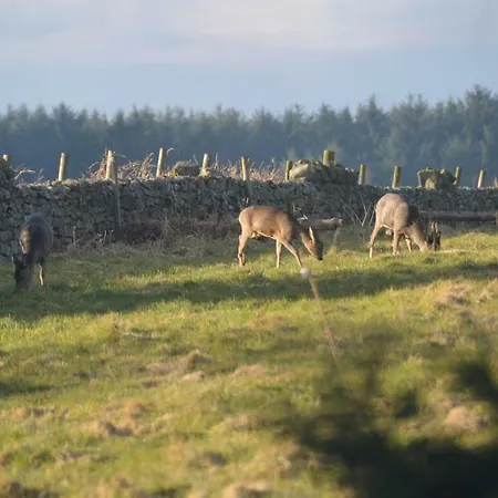 Middlehead Holiday home *