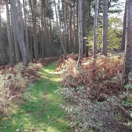 Holiday home Middlehead *