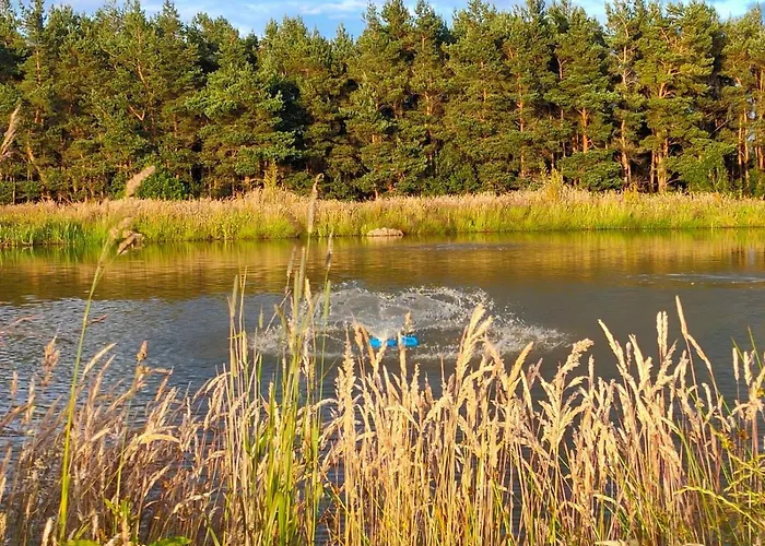 Middlehead * ピカリング